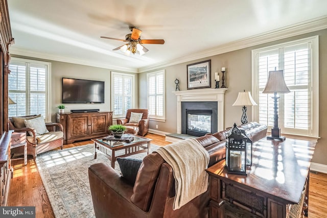 living room featuring ceiling fan, crown molding, and light hardwood / wood-style floors