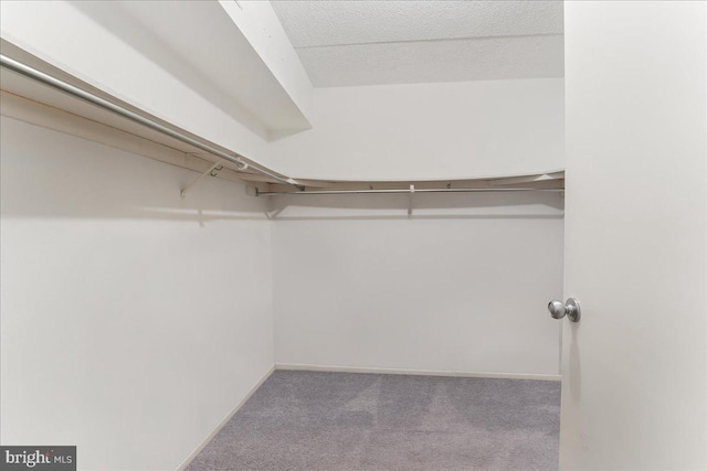 walk in closet with light carpet