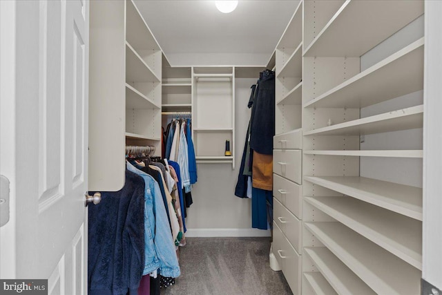 spacious closet with carpet