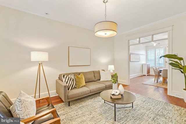 living room with hardwood / wood-style floors and crown molding