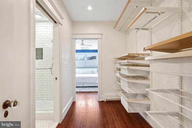 walk in closet featuring dark hardwood / wood-style floors