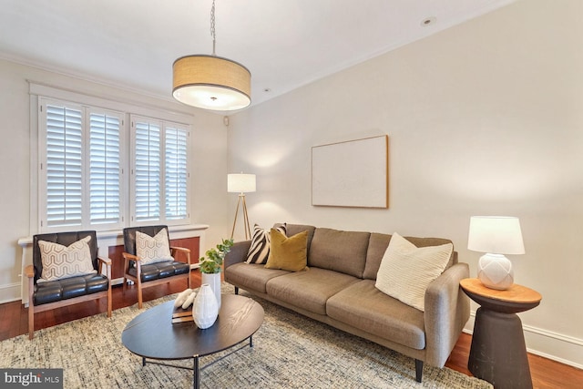 living room featuring wood-type flooring