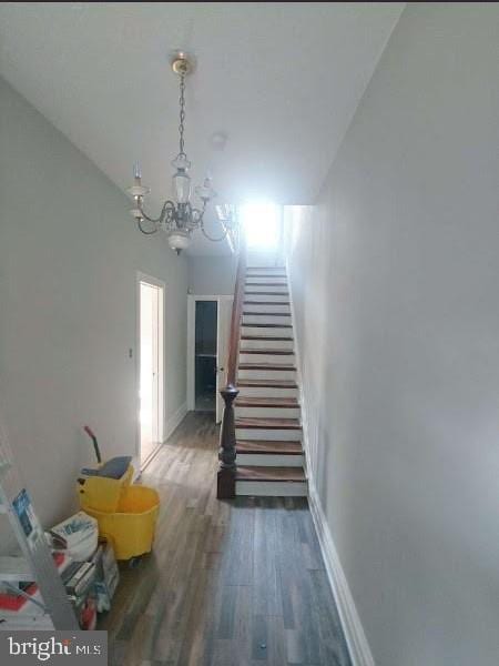 staircase with hardwood / wood-style floors and a chandelier