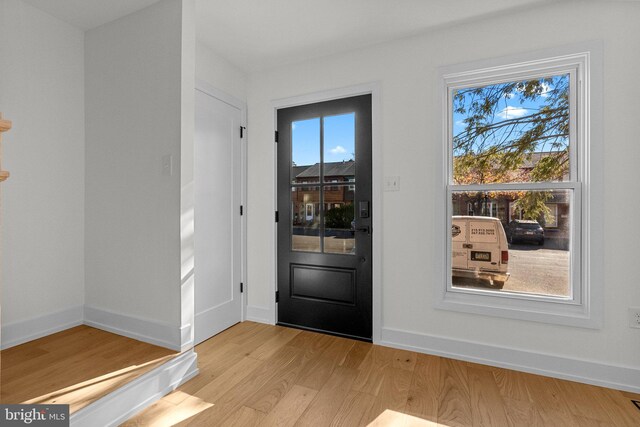 doorway with a wealth of natural light and light hardwood / wood-style flooring