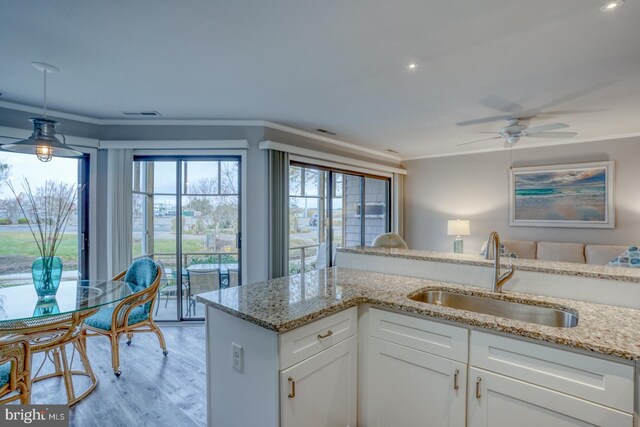 kitchen with light stone countertops, crown molding, sink, light hardwood / wood-style flooring, and white cabinetry