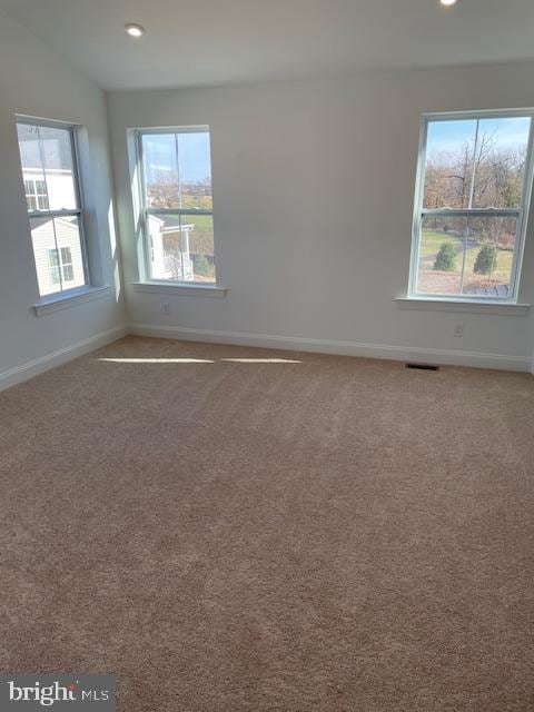 spare room with carpet floors and a wealth of natural light