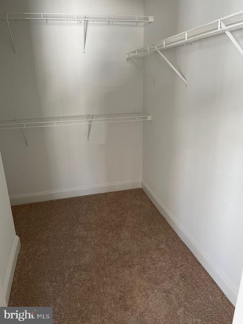 walk in closet with dark carpet