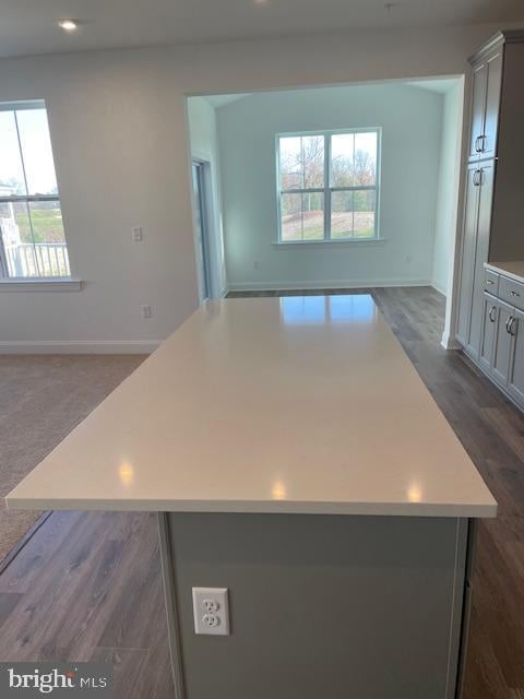 kitchen featuring gray cabinets, plenty of natural light, and a kitchen island