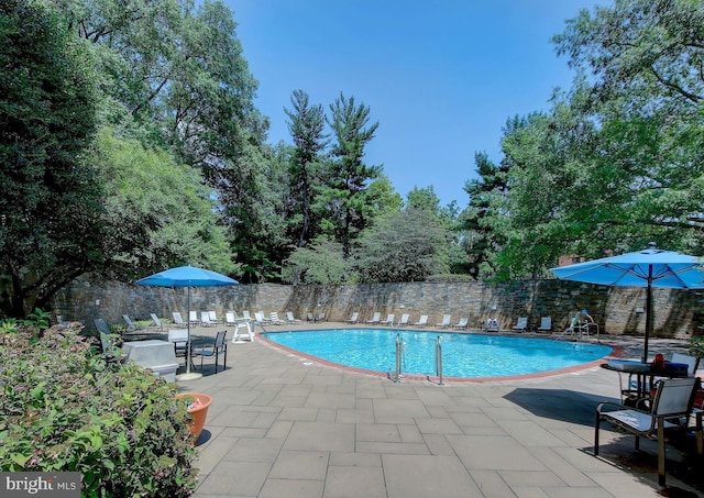 view of swimming pool with a patio