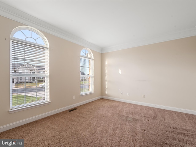 empty room with carpet floors, crown molding, and a healthy amount of sunlight