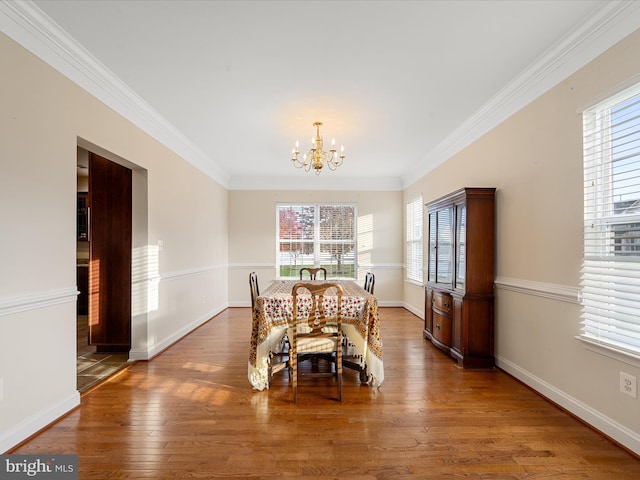 dining room with dark hardwood / wood-style flooring, a wealth of natural light, and crown molding