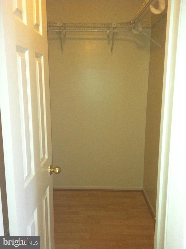 walk in closet featuring light hardwood / wood-style floors