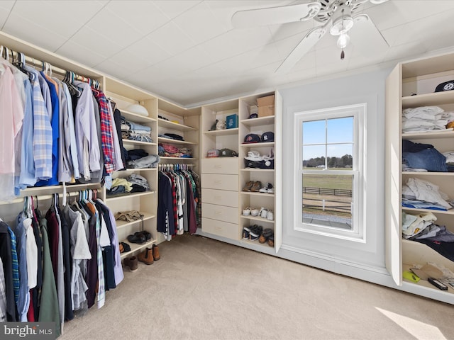 walk in closet featuring light colored carpet