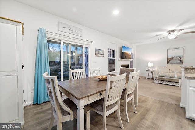 dining room with ceiling fan and light hardwood / wood-style flooring