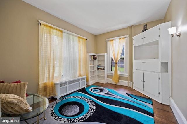 living area featuring wood-type flooring and radiator heating unit