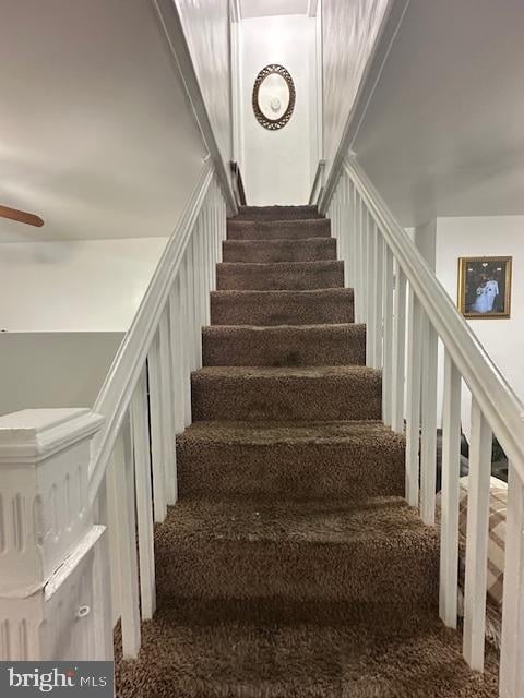 stairway featuring carpet flooring and ceiling fan