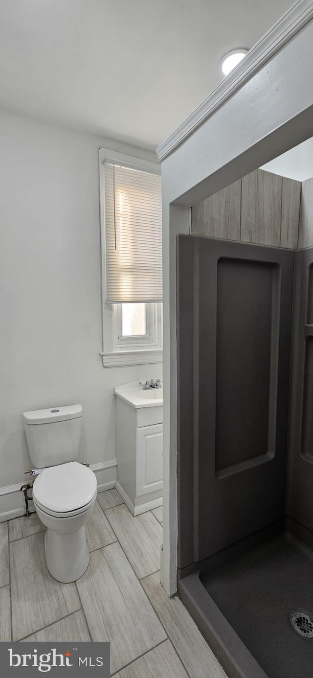 bathroom with toilet and vanity