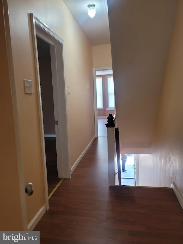 hall with dark hardwood / wood-style flooring