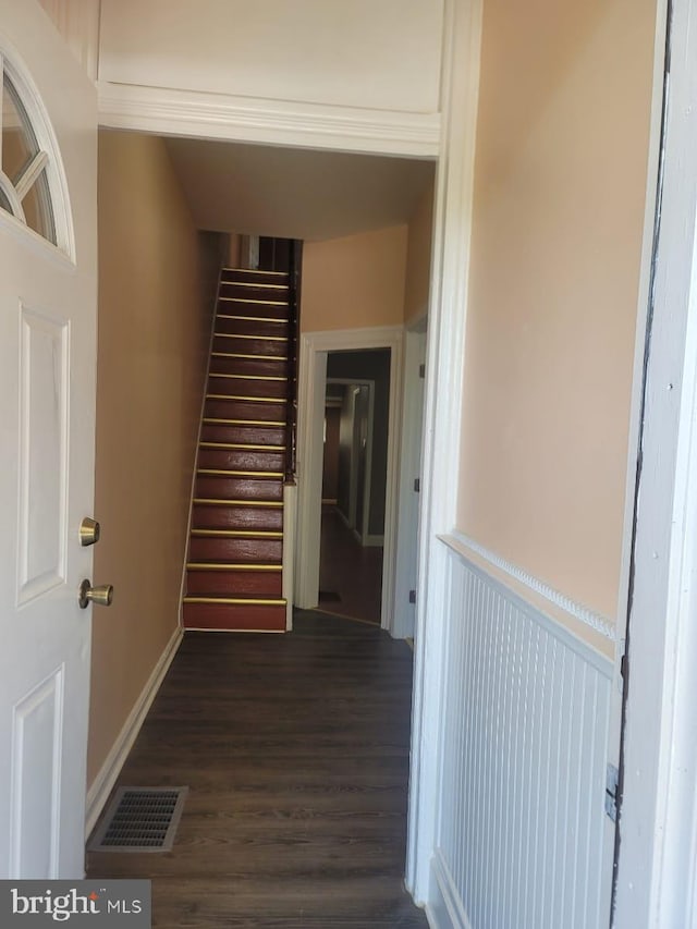 hall featuring dark wood-type flooring