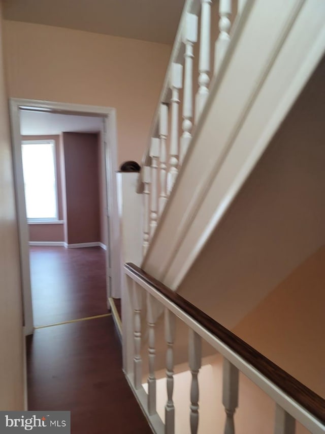 stairway featuring wood-type flooring