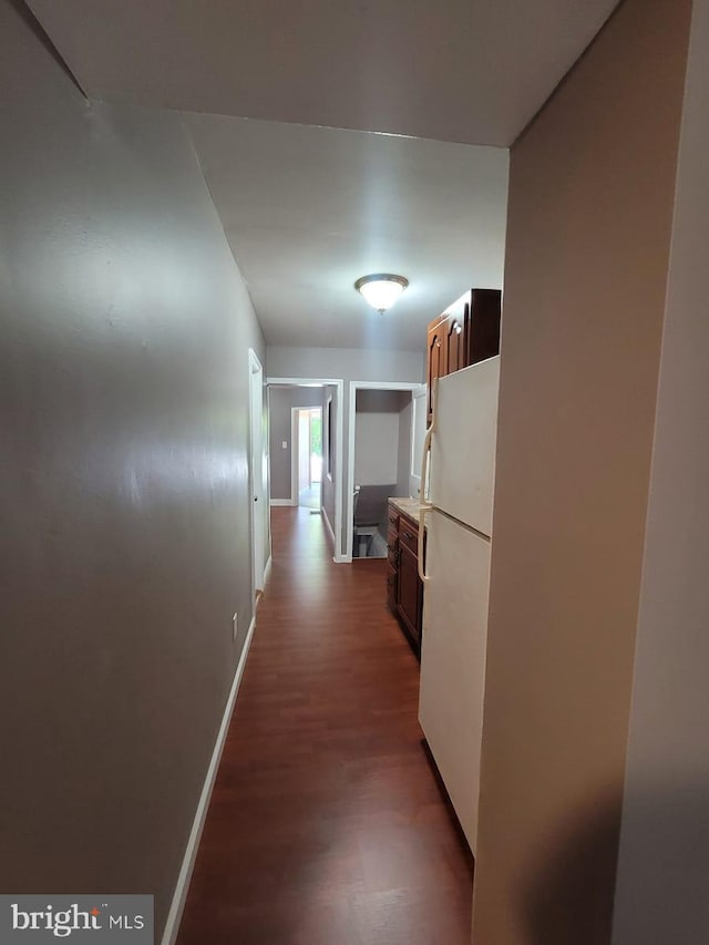 hall featuring dark wood-type flooring