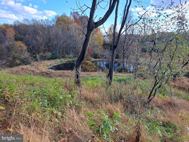 542 Auburn Rd, Landenberg, PA 19350 - view of tree filled area