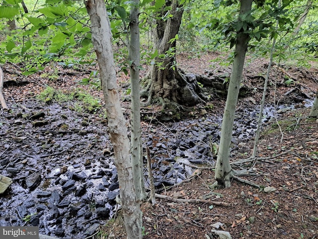 542 Auburn Rd, Landenberg, PA 19350 - view of nature