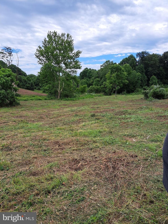 542 Auburn Rd, Landenberg, PA 19350 - view of woods