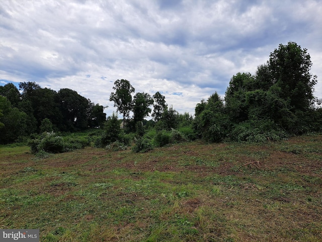542 Auburn Rd, Landenberg, PA 19350 - view of undeveloped land