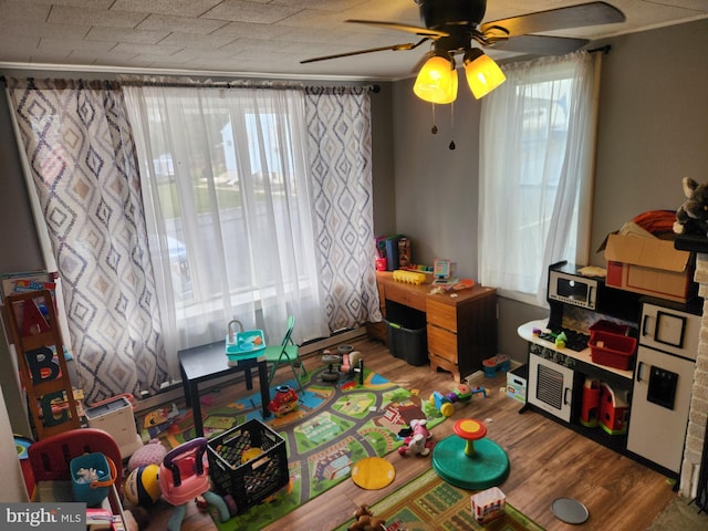 rec room with ceiling fan, hardwood / wood-style floors, and a healthy amount of sunlight