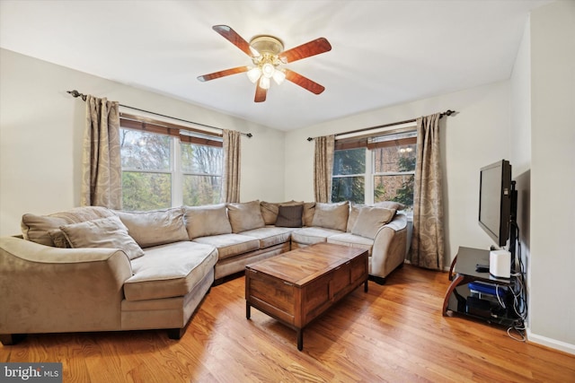 living room with ceiling fan and light hardwood / wood-style floors