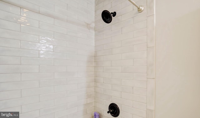 interior details with tiled shower