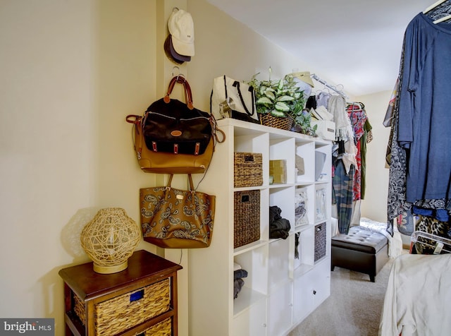 spacious closet with carpet