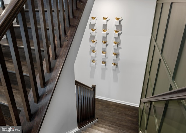 staircase with hardwood / wood-style flooring