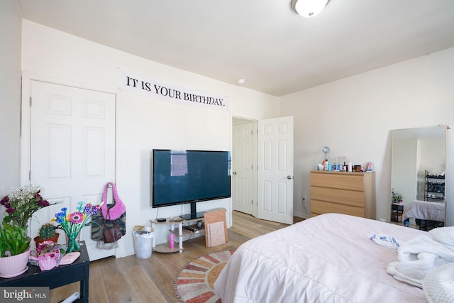 bedroom with wood-type flooring