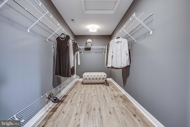 spacious closet with hardwood / wood-style floors