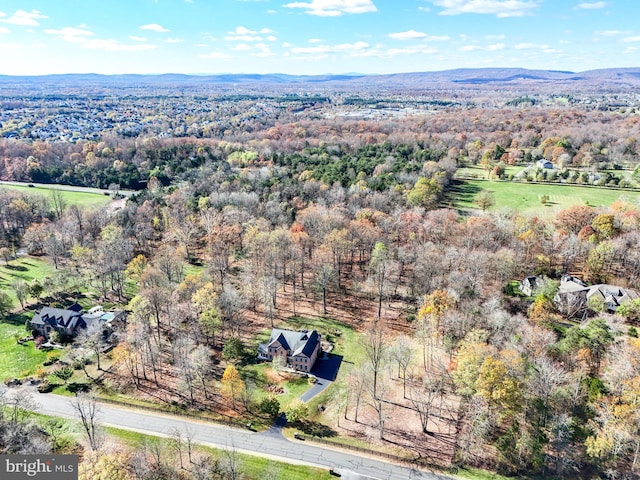 birds eye view of property featuring a mountain view