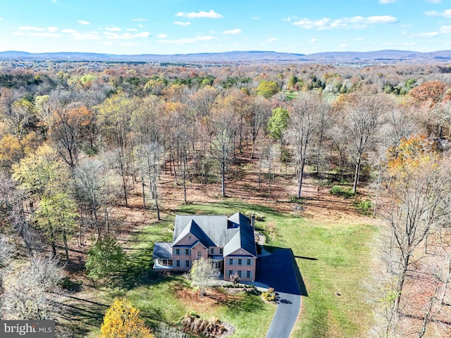 birds eye view of property featuring a mountain view