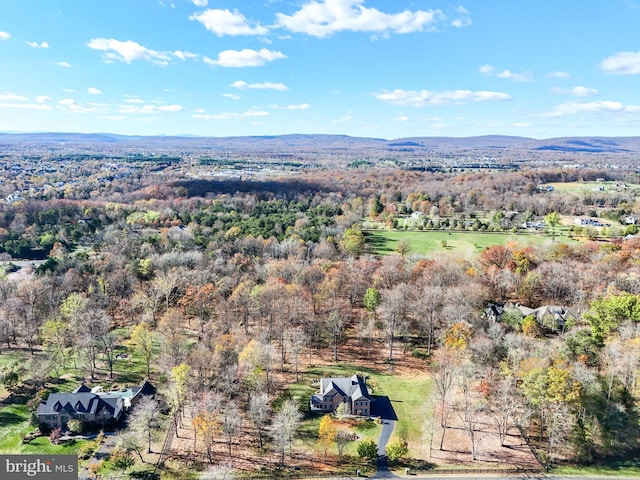 drone / aerial view featuring a mountain view