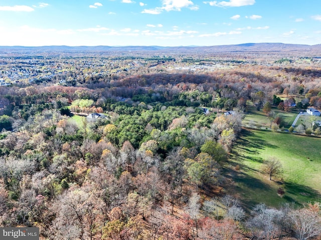 bird's eye view with a mountain view