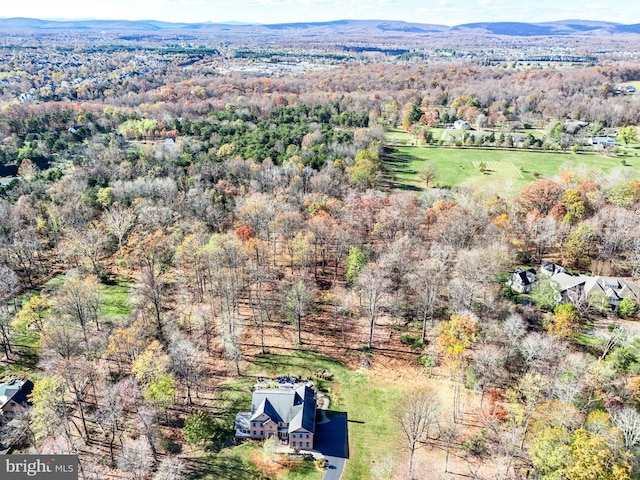 drone / aerial view with a mountain view