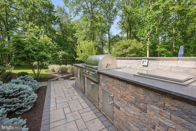 15280 Riding Club Dr, Haymarket, VA 20169 - view of patio with view of scattered trees