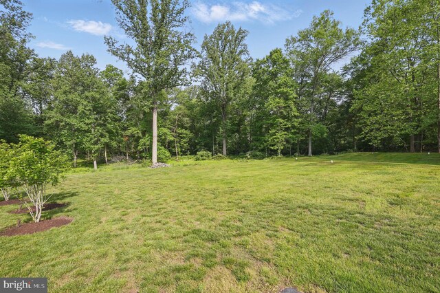 15280 Riding Club Dr, Haymarket, VA 20169 - view of grassy yard featuring a wooded view