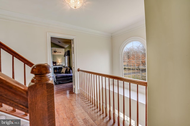 corridor featuring crown molding and light hardwood / wood-style flooring