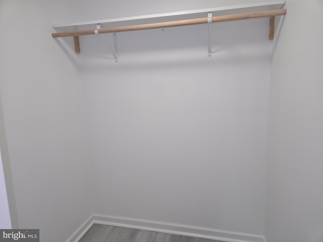 spacious closet featuring wood-type flooring