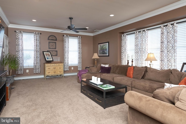 carpeted living room with ceiling fan, a healthy amount of sunlight, and ornamental molding