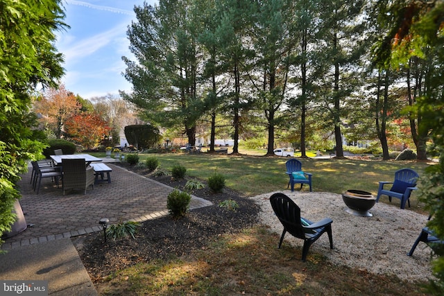 view of yard featuring a patio area