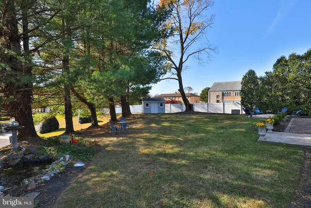 view of yard featuring a shed