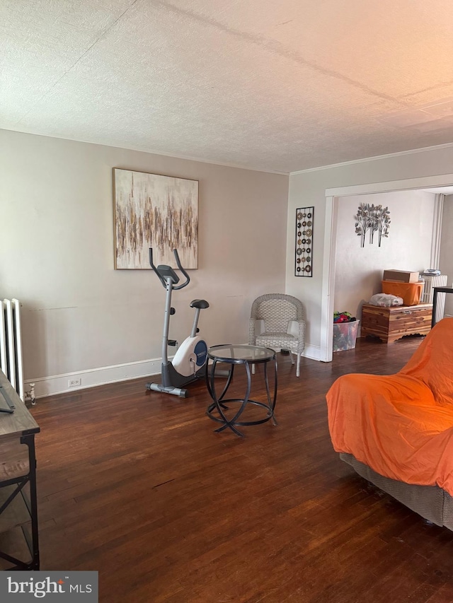 533 Hamilton St, Lancaster, PA 17602 - exercise room with wood finished floors, baseboards, radiator, and a textured ceiling