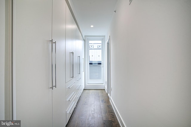 hall featuring dark wood-type flooring